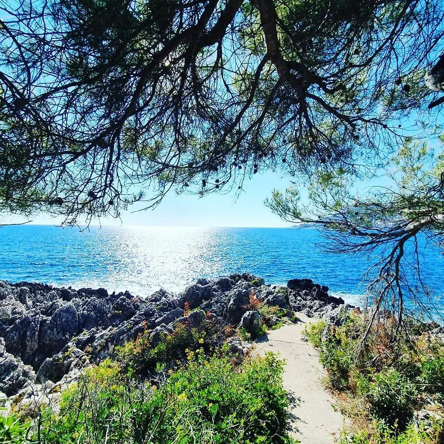 Best Seaview Penthouse+77M2 Privat Roof Terrace Near Beach And Cannes Vallauris 0*,  France